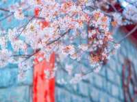 镇江恒桉建材商贸有限公司