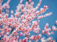 镇江恒桉建材商贸有限公司