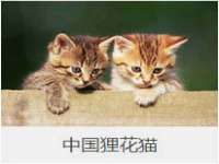 镇江恒桉建材商贸有限公司