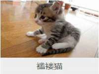 镇江恒桉建材商贸有限公司