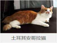 镇江恒桉建材商贸有限公司