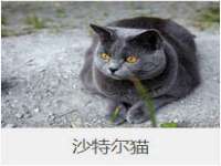 镇江恒桉建材商贸有限公司