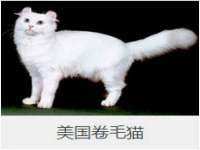 镇江恒桉建材商贸有限公司