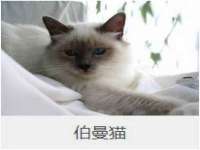 镇江恒桉建材商贸有限公司