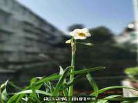 镇江恒桉建材商贸有限公司