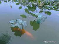 镇江恒桉建材商贸有限公司