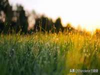 镇江恒桉建材商贸有限公司