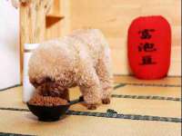 镇江恒桉建材商贸有限公司